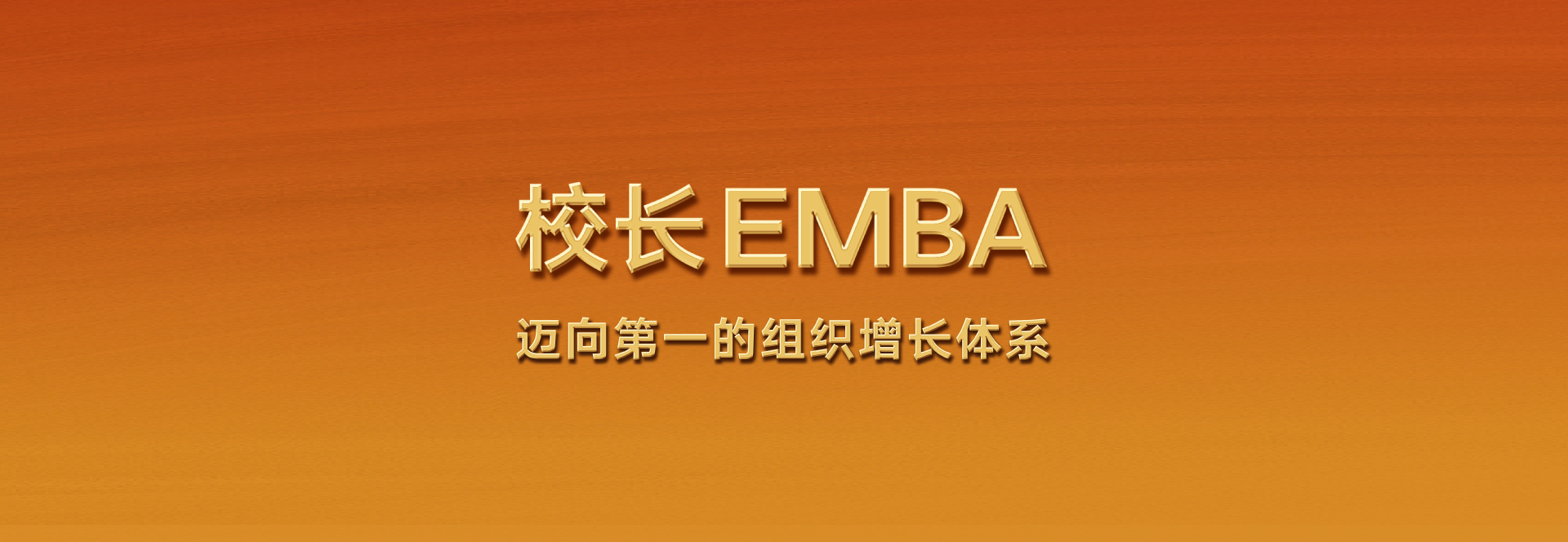 浓缩EMBA