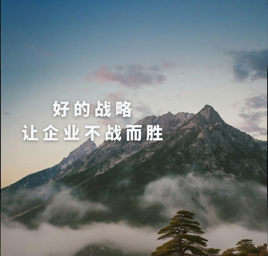 行动教育：战略的「阴面」和「阳面」